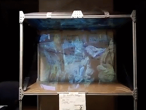 HARP — Holographic Archive of Research Projects — image 2